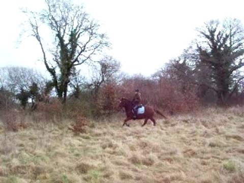 Indien Nono Léa Camille Clem et Mimi et Coquette 015