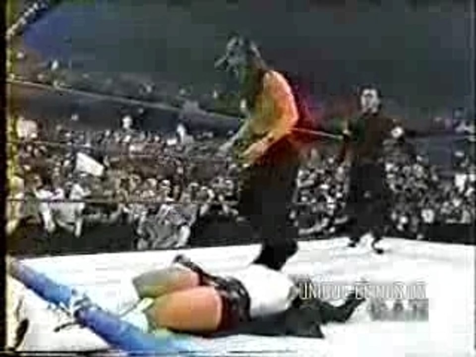 lita saved by hardys from T&A