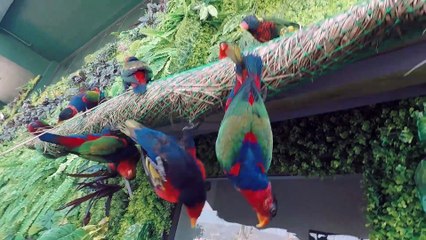 What's New Cebu Ocean Park | #tipidbiyahe