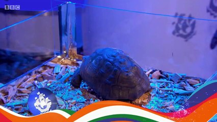 Blue Peter Bite-S04e03-Extreme Electricity-10