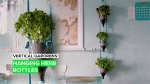 Vertical Gardens: Hanging Herb Bottles