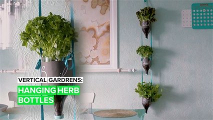Vertical Gardens: Hanging Herb Bottles