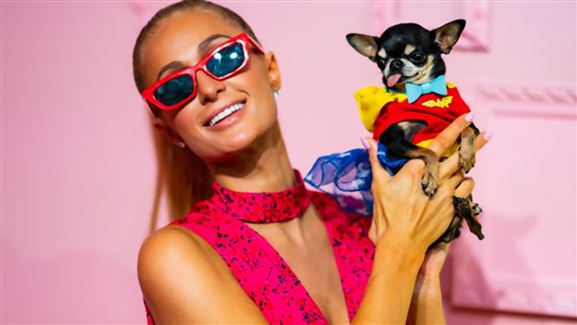 Paris Hilton mit Hund auf Fashionweek - video Dailymotion