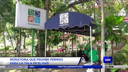 Moratoria que prohíbe permiso para la tala en el país - Nex Noticias