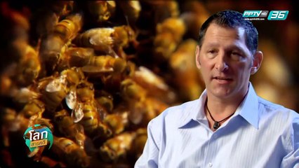 โลกสารคดี - สัตว์นักพยาบาล (4/4)