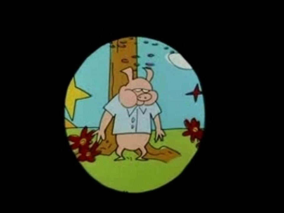 Pic Pic André Et Leurs Amis