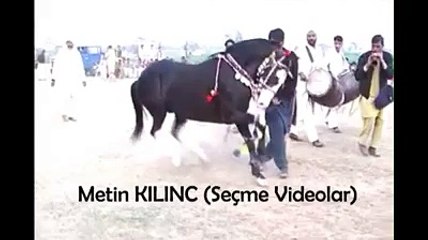 Davul zurnayla oynayan at