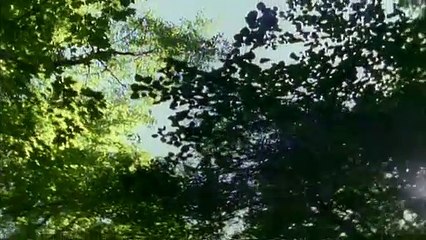 Goosebumps Season 1 Episode 14 It Came from Beneath the Sink