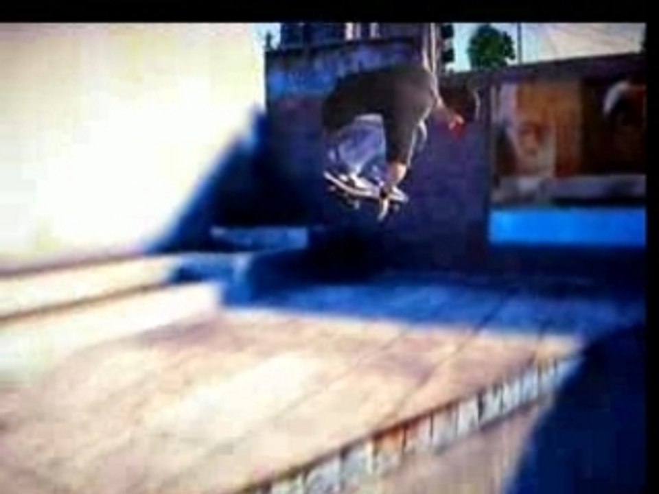 EA Skate neila Vol.3