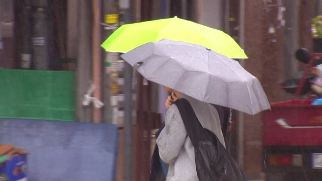 [날씨] 모레까지 전국 비...추석 연휴 대체로 맑음 / YTN