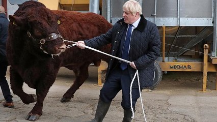 Boris Johnson elabora un plan para sortear al Parlamento británico