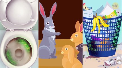 What's the Dirtiest Place in Your House (Not Bathroom!)