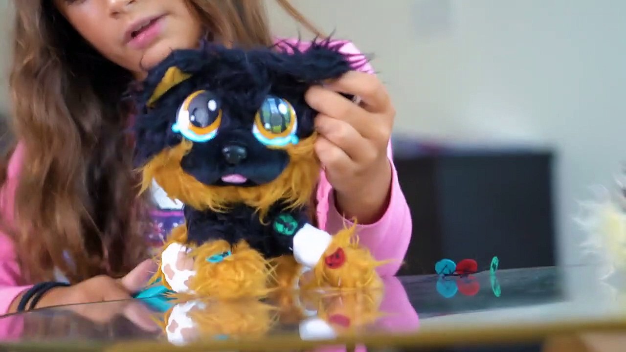 Rescue Runts Adoption Party- Awesome Educational Toys-