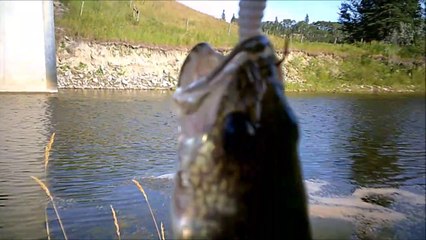 MCH 183 THIS FISH ALMOST GOT AWAY OR DID IT.SECRET FISHING HOLE.