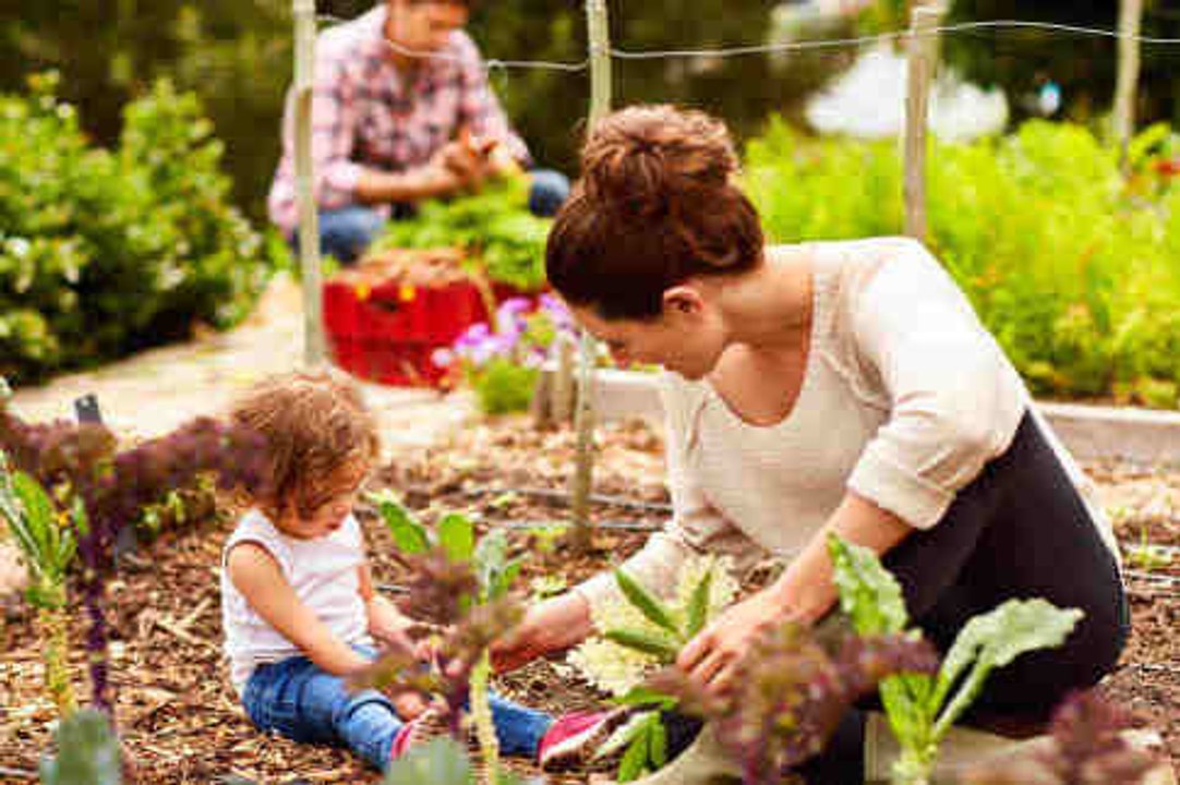 10 Gemüsegarten-Ideen, die dich begeistern werden