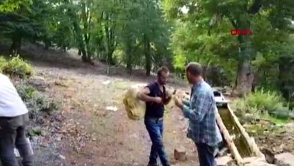 Gaziantep yayla çayı ile geçimlerini sağlıyorlar