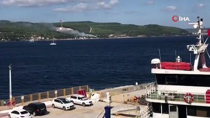 Tarihi Gelibolu Yarımadası'nda orman yangını