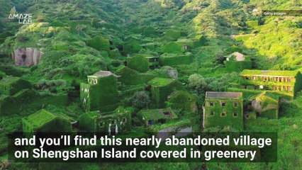 Nature Took Over This Abandoned Chinese Village, Turning It Green