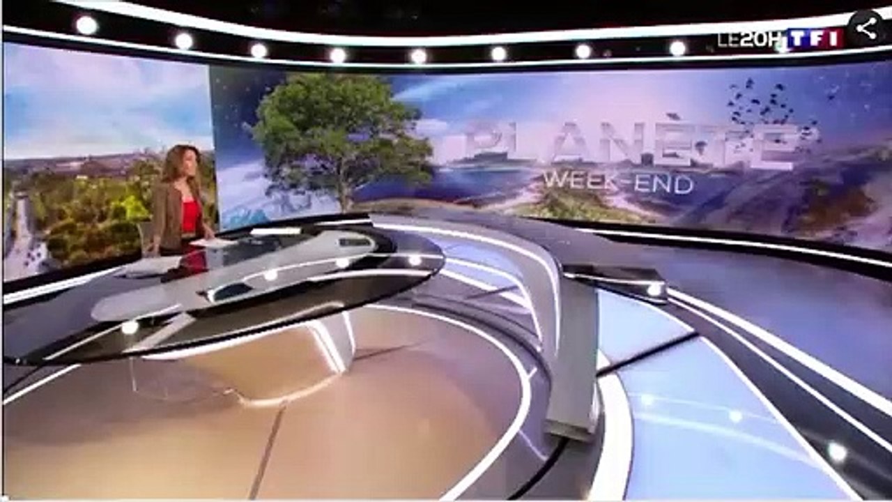 Enquête : comment l'Hexagone stocke-t-il ses déchets nucléaires ? - TF1 JT 20 h - 7 septembre 2019