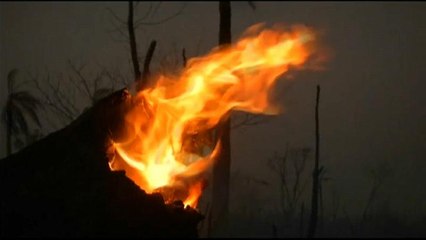 Incendios y crecimiento económico en Bolivia