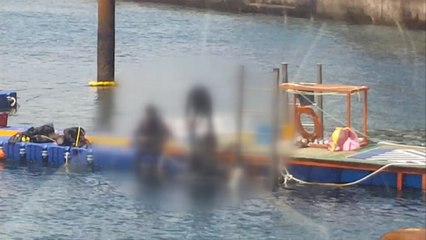 해경, 무등록 수중레저 업자 11명 검거 / YTN