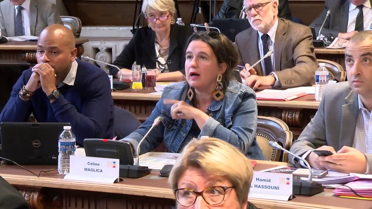 Céline MAGLICA. Session extraordinaire du 9 septembre 2019 sur la sécheresse.