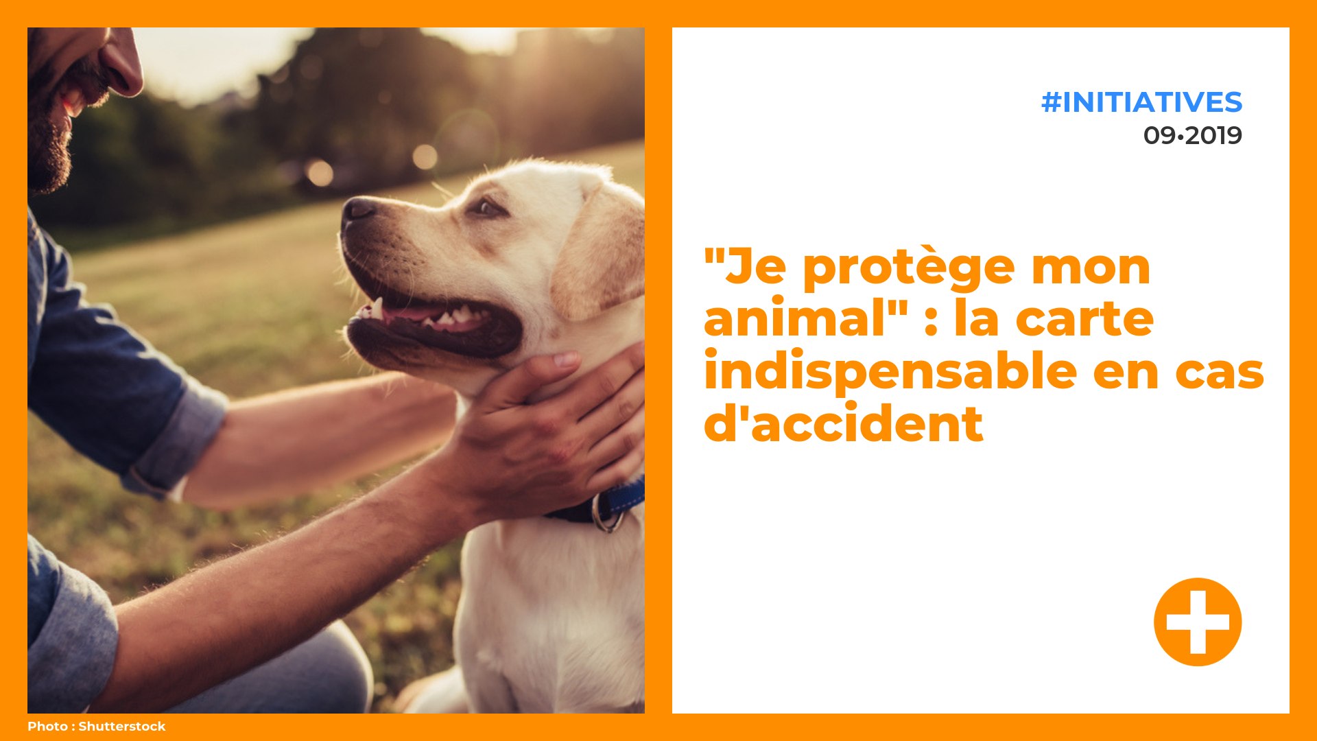 Annonce Pour Promener Des Chiens