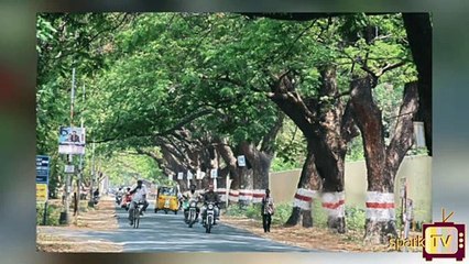 இனி மரங்களில் இதை செய்தால் 3 ஆண்டு சிறை - சென்னை மாநகராட்சி.!