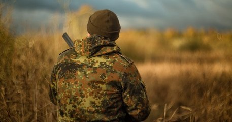 En Ardèche, un chasseur abat un chiot de 4 mois sous prétexte qu'il aboie trop fort