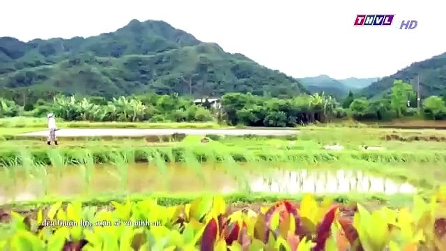 Đại Thời Đại Tập 164 - đại thời đại tập 165 - Phim Đài Loan - THVL1 Lồng Tiếng - Phim Dai Thoi Dai Tap 164