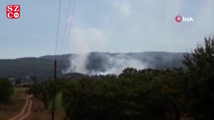 Muğla’da orman yangını