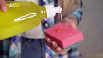 Kitchen Sponges Should be Replaced More Often Than You Think
