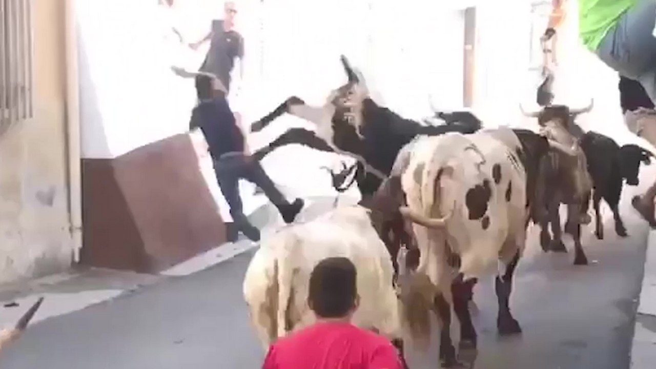 Un homme court à côté d'un taureau et se fait éjecter