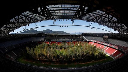 Természet – múzeumi környezetben