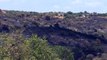 El fuego arrasa 72.668 hectáreas en ocho meses