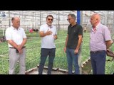 Rritet mbështetja për bujqësinë, Çuçi vizitë në Divjakë - News, Lajme - Vizion Plus