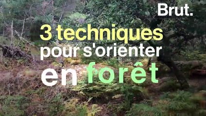 Perdu en pleine forêt ? Voici 3 astuces pour retrouver son chemin