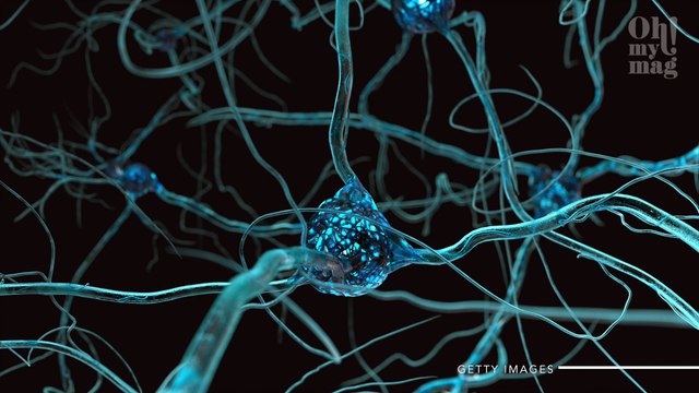 Da a luz a una niña en Républica Checa después de 4 meses con muerte cerebral