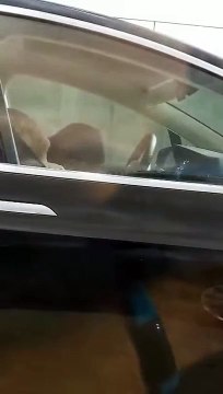 Une Tesla qui roule seule avec le chauffeur en plein sommeil