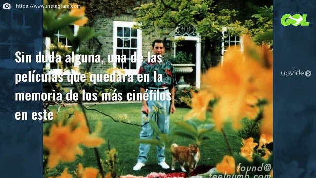 “La foto antes de morir”. Miguel Bosé, Alejandro Sanz, y el mundo de la música, conmocionados