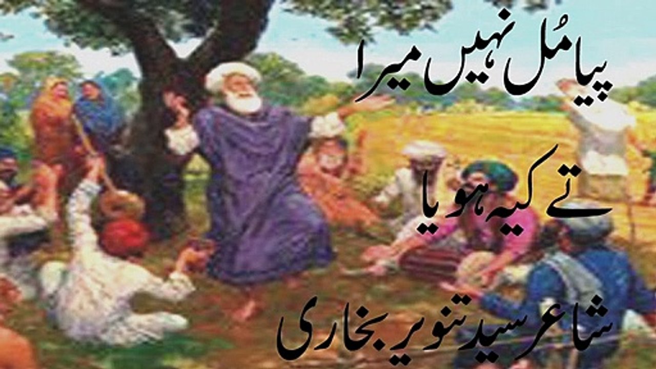 punjabi sad poetry l punjabi shayari l sad shayari status l vioce waqas pannu