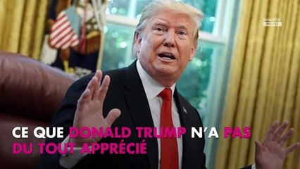 Chrissy Teigen insultée par Donald Trump : sa réponse très cash