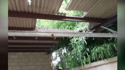 태풍 피해 복구 중 소방관 추락해 숨져 / YTN