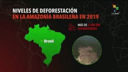 Se incrementa la deforestación de la Amazonía brasileña 91.9% en 2019