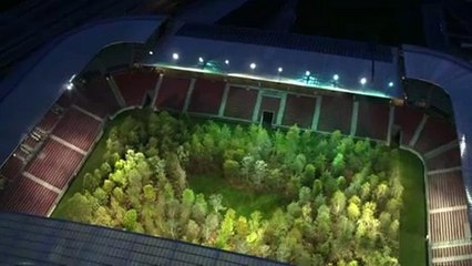 En Autriche, un terrain de foot transformé en forêt pour la bonne cause