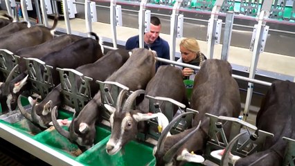 Lenna Kuurmaa @ Tõelised kangelased E01 vol.3