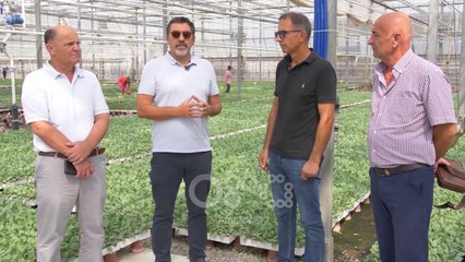 RTV Ora - Serra më e madhe në Ballkanin Perëndimor ndodhet në Divjakë