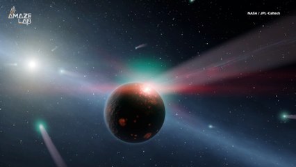 All Comets in Our Solar System May Have the Same Origin