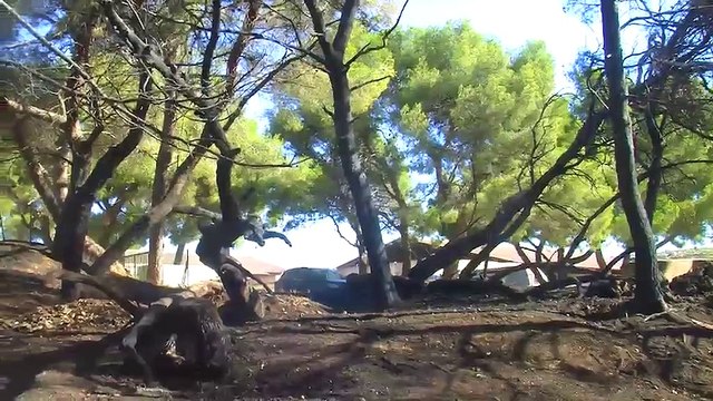 LE JOURNAL DE LA QUOTIDIENNE : Le Journal lundi 9 septembre 2019