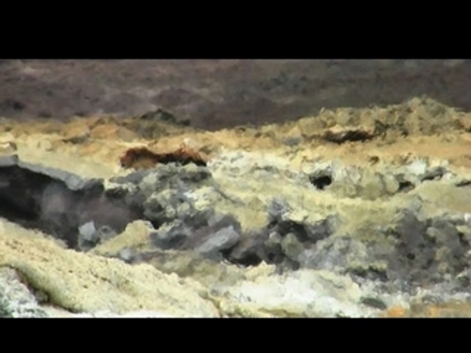 Coulée lave Eruption d'avril 2007 Ile de la Réunion